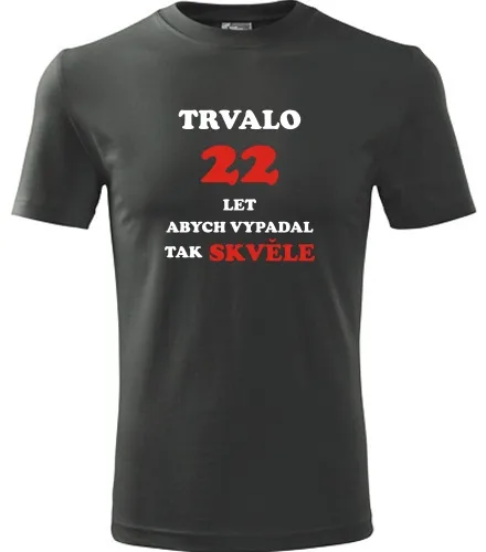 trička s potiskem Grafitové tričko trvalo 22 let 